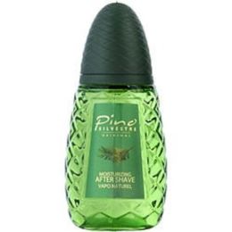 Pino Silvestre By Pino Silvestre Aftershave Spray 4.2 Oz For Men