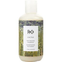 R+co By R+co Cactus Texturizing Shampoo 6 Oz For Anyone